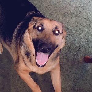 Meet your Posher, Paul